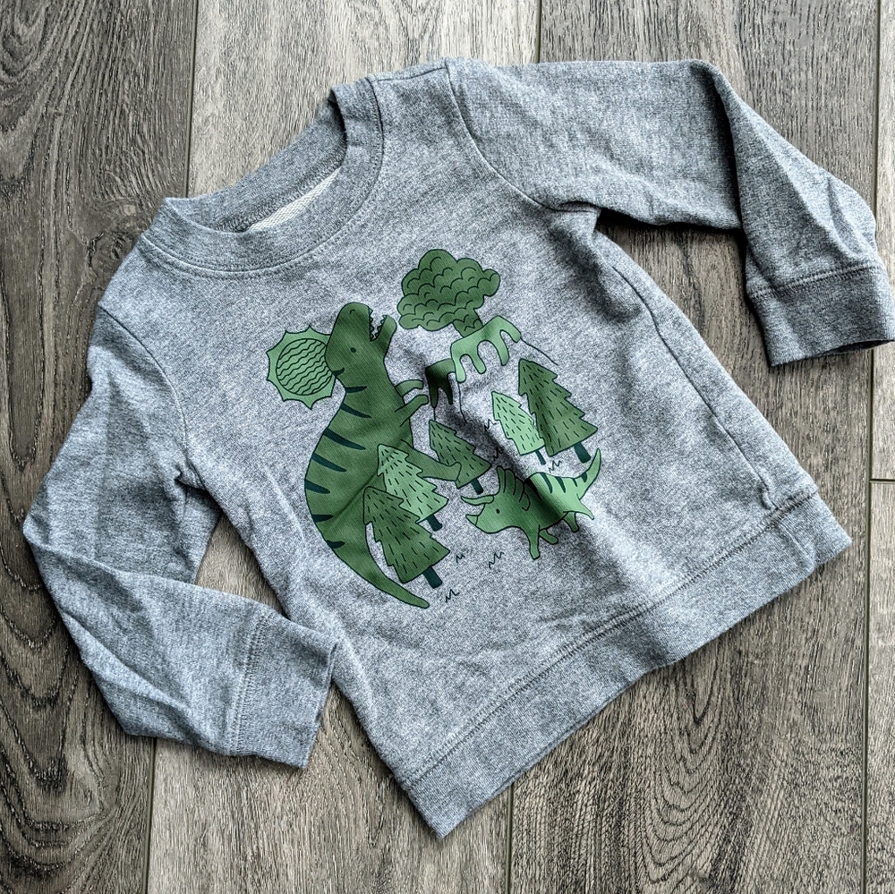 3/$20 Dinosaur Sweatshirt